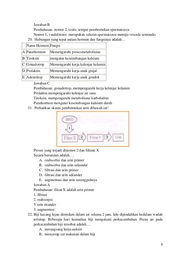 Soal dan pembahasan un biologi