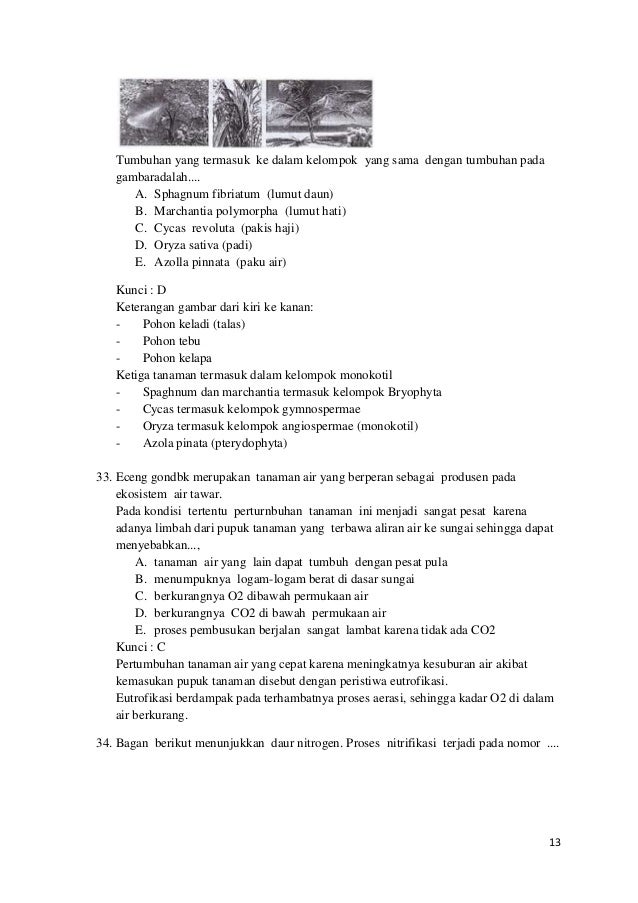 Soal dan pembahasan un biologi