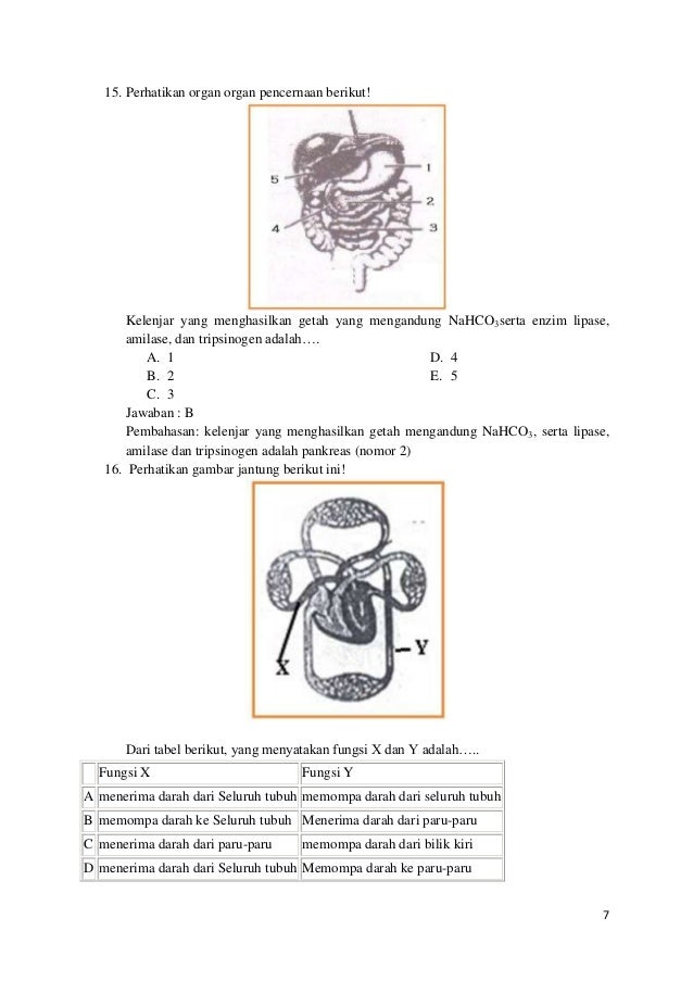 Soal dan pembahasan un biologi