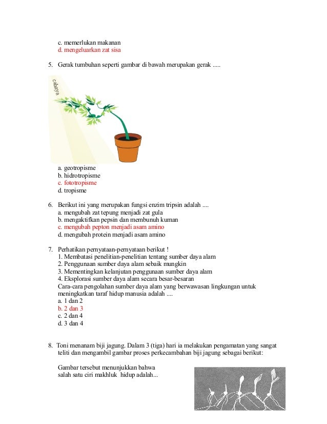Soal Diagnostik Biologi 02