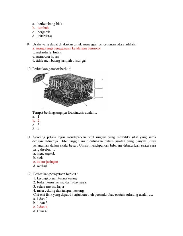 Soal Diagnostik Biologi 02