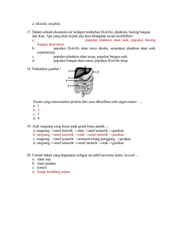 Soal Diagnostik Biologi 02