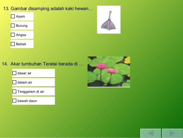 Soal digital ipa kelas 6 ciri khusus makhluk hidup