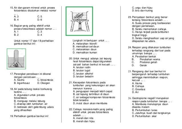 Soal fotosintesis dan gerak pada tumbuhan k8