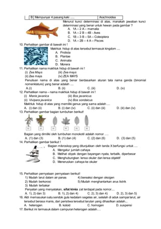 B Mempunyai 4 pasang kaki ..... Arachnoidea
Menurut kunci determinasi di atas, manakah jawaban kunci
determinasi yang benar untuk hewan pada gambar ?
A. 1A – 2 A – mamalia
B. 1A – 2 B – 4B - Aves
C. 1B – 3 B – 5A – Coleoptera
D. 1A – 2B – 4 A – Pisces
10. Perhatikan gambar di bawah ini !
Makhluk hidup di atas tersebut termasuk kingdom ....
A. Protista
B. Plantae
C. Animalia
D. Monera
11. Perhatikan nama makhluk hidup di bawah ini !
(i) Zea Mays (iii) Zea mays
(ii) Zea mays (iv) ZEA MAYS
Penulisan nama di atas yang benar berdasarkan aturan tata nama ganda (binomial
nomenklature) yang benar adalah ....
A.(i) B. (ii) C. (iii) D. (iv)
12. Perhatikan nama – nama makhluk hidup di bawah ini !
(i) Manis javanica (iii) Bos javanicus
(ii) Vivipara javanica (iv) Bos sondaicus
Makhluk hidup di atas yang memiliki genus yang sama adalah ....
A. (i) dan (ii) B. (i) dan (iv) C. (ii) dan (iii) D. (iii) dan (iv)
13. Perhatikan gambar bagian tumbuhan berikut!
Bagian yang dimiliki oleh tumbuhan monokotil adalah nomor ….
A. (1) dan (3) B. (1) dan (4) C. (2) dan (6) D. (3) dan (5)
14. Perhatikan gambar berikut !
Bagian mikroskop yang ditunjukkan oleh tanda X berfungsi untuk ....
A. Mengatur jumlah cahaya
B. Melihat obyek dengan bayangan nyata, terbalik, diperbesar
C. Menghubungkan lensa okuler dan lensa objektif
D. Meneruskan cahaya ke okuler
15. Perhatikan pernyataan pernyataan berikut!
1) Mudah larut dalam air panas 4) bereaksi dengan oksigen
2) Mudah berkorosi 5) Mudah menghantarkan arus listrik
3) Mudah terbakar
Penyatan yang menyatakan, sifat kimia zat terdapat pada nomor....
A. 1), 2) dan 3) B. 1), 2) dan 4) C. 2), 3) dan 4) D. 2), 3) dan 5)
16. Aldi memasukan satu sendok gula kedalam segelas air, setelah di aduk sampai larut, air
tersebut berasa manis, dari peristiwa tersebut larutan yang dihasilkan adalah...
A. heterogen B. koloid C. homogen D. suspensi
17. Berikut ini termasuk dalam campuran heterogen adalah….
 