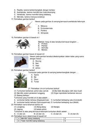 A. Reptilia, karena berkembangbiak dengan bertelur
B. Avertebrata, karena memiliki dua mata disamping
C. Vertebrata, karena memiliki tulang belakang
D. Mamalia, karena menyusui anaknya
17. Perhatikan gambar berikut!
Hewan pada gambar di samping termasuk avertebrata kelompok
….
A. Molusca
B. Echinodermata
C. Porifera
D. Artropoda
18. Perhatikan gambar di bawah ini !
Makhluk hidup di atas tersebut termasuk kingdom ....
A. Protista
B. Plantae
C. Animalia
D. Monera
19. Perhatikan gambar hewan di bawah ini!
Hewan pada gambar tersebut dikelompokkan dalam kelas yang sama
dengan hewan ….
A. Burung
B. Ikan
C. Sapi
D. penyu
20. Perhatikan gambar berikut!
Tumbuhan pada gambar di samping berkembangbiak dengan ….
A. Spora
B. Biji
C. Daun
D. Tunas
21. Perhatikan ciri-ciri tumbuhan berikut!
(1) Tumbuhan berbentuk pohon atau semak (4) Biji tidak dibungkus oleh daun buah
(2) Memiliki sistem perakaran tunggang (5) Organ reproduksi berbentuk kerucut
(3) Batang berkayu
Tumbuhan yang memiliki ciri di atas adalah….
A. tumbuhan berbiji tertutup (Angiospermae) C. tumbuhan berkeping satu (monokotil)
B. tumbuhan berbiji terbuka (Gymnospermae) D. tumbuhan berkeping dua (dikotil)
22. Perhatikan nama tanaman berikut ini!
(1) Lengkeng (3) Alang-alang (5) Nangka
(2) Jagung (4) ketela pohon
Tumbuhan di atas yang termasuk kelompok tumbuhan dikotil adalah ….
A. (1) dan (2) B. (2) dan (3) C. (3) dan (4) D. (4) dan (5)
23. Perhatikan kunci determinasi di bawah ini!
1 a Memiliki tulang belakang .............................................. 2
b Tidak memiliki tulang belakang .................................... 5
 