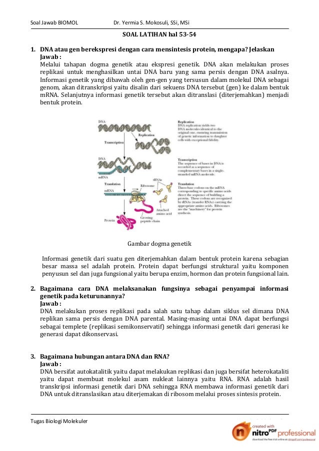 Tanya Jawab Biologi Molekuler
