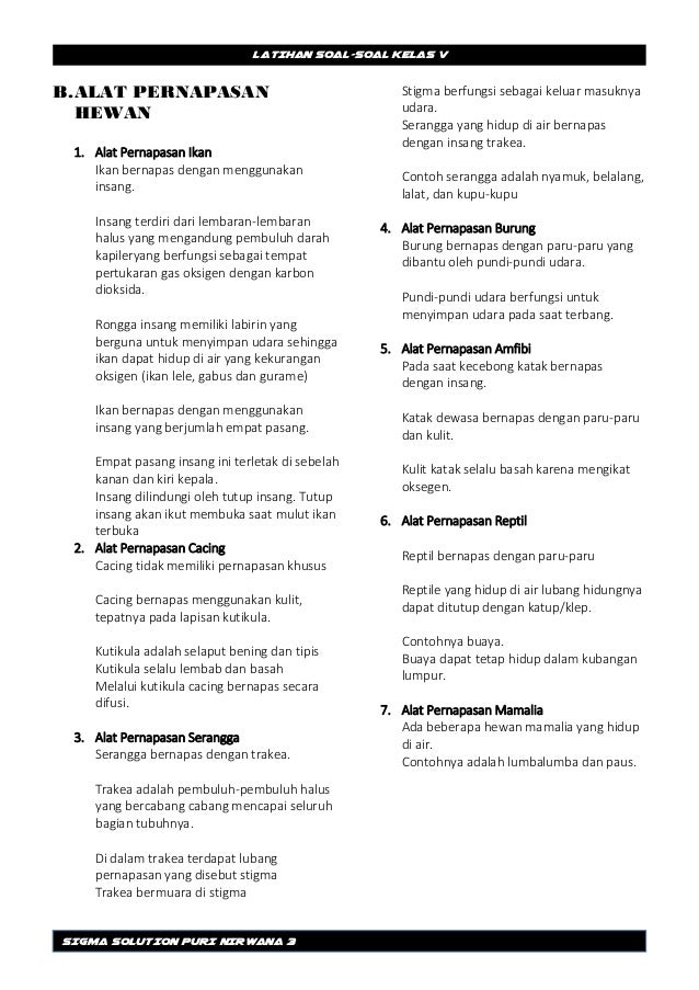 Soal Latihan Ipa Kelas V