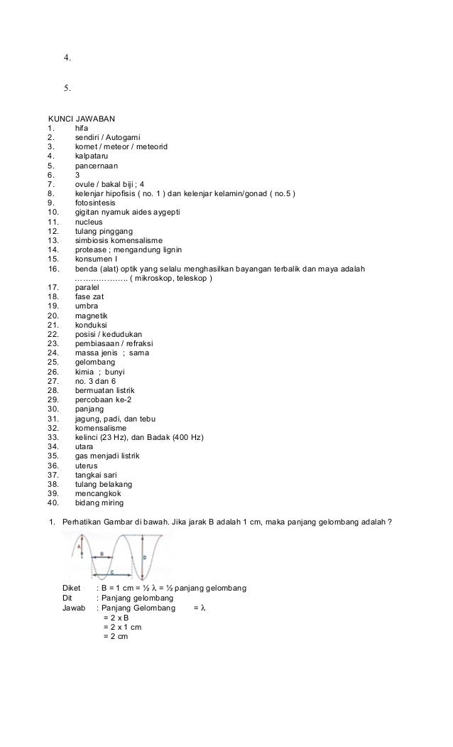 Contoh Soal Osn Ipa Sd Kota Tegal Bingo Books Contoh Soal Osn Ipa Sd Kota Tegal Bingo Books