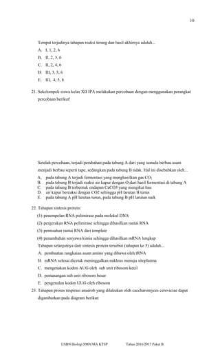 10
Tempat terjadinya tahapan reaksi terang dan hasil akhirnya adalah...
A. I, 1, 2, 6
B. II, 2, 3, 6
C. II, 2, 4, 6
D. III, 3, 5, 6
E. III, 4, 5, 6
21. Sekelompok siswa kelas XII IPA melakukan percobaan dengan menggunakan perangkat
percobaan berikut!
Setelah percobaan, terjadi perubahan pada tabung A dari yang semula berbau asam
menjadi berbau seperti tape, sedangkan pada tabung B tidak. Hal ini disebabkan oleh...
A. pada tabung A terjadi fermentasi yang menghasilkan gas CO2
B. pada tabung B terjadi reaksi air kapur dengan O2dari hasil fermentasi di tabung A
C. pada tabung B terbentuk endapan CaCO3 yang mengikat bau
D. air kapur bereaksi dengan CO2 sehingga pH larutan B turun
E. pada tabung A pH larutan turun, pada tabung B pH larutan naik
22. Tahapan sintesis protein:
(1) penempelan RNA polimirase pada molekul DNA
(2) pergerakan RNA polimirase sehingga dihasilkan rantai RNA
(3) pemisahan rantai RNA dari template
(4) penambahan senyawa kimia sehingga dihasilkan mRNA lengkap
Tahapan selanjutnya dari sintesis protein tersebut (tahapan ke 5) adalah...
A. pembuatan rangkaian asam amino yang dibawa oleh tRNA
B. mRNA selesai dicetak meninggalkan nukleus menuju sitoplasma
C. mengenakan kodon AUG oleh sub unit ribosom kecil
D. pemasangan sub unit ribosom besar
E. pengenalan kodon UUG oleh ribosom
23. Tahapan proses respirasi anaerob yang dilakukan oleh caccharomyces cereviciae dapat
digambarkan pada diagram berikut:
USBN Biologi SMA/MA KTSP Tahun 2016/2017 Paket B
 