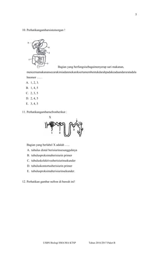 5
10. Perhatikangambarsistemorgan !
Bagian yang berfungsisebagaimenyerap sari makanan,
mencernamakanansecarakimiadanmekaniksertamembentukdarahpadakeadaandaruratadala
hnomor …. .
A. 1, 2, 3.
B. 1, 4, 5
C. 2, 3, 5
D. 2, 4, 5
E. 3, 4, 5
11. Perhatikangambarnefronberikut :
X
Bagian yang berlabel X adalah …..
A. tubulus distal berisiurinsesungguhnya
B. tubulusproksimaberisiurin primer
C. tubuluskolektivusberisiurinsekunder
D. tubuluskontortusberisiurin primer
E. tubulusproksimaberisiurinsekunder.
12. Perhatikan gambar nefron di bawah ini!
USBN Biologi SMA/MA KTSP Tahun 2016/2017 Paket B
 