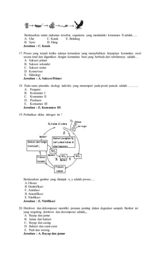 Berdasarkan rantai makanan tersebut, organisme yang menduduki konsumen II adalah…..
A. Ular C. Katak E. Belalang
B. Sawi D. Elang
Jawaban : C. Katak
17. Proses yang terjadi ketika adanya kerusakan yang menyebabkan lenyapnya komunitas awal
secara total dan digantikan dengan komunitas baru yang berbeda dari sebelumnya adalah…
A. Suksesi primer
B. Suksesi sekunder
C. Suksesi tertier
D. Konservasi
E. Hidrologi
Jawaban : A. Suksesi Primer
18. Pada suatu piramida ekologi, individu yang menempati pada posisi puncak adalah ……….
A. Pengurai
B. Konsumen I
C. Konsumen II
D. Produsen
E. Konsumen III
Jawaban : E. Konsumen III
19. Perhatikan siklus nitrogen ini !
Berdasarkan gambar yang ditunjuk x, y adalah proses.....
A. Fiksasi
B. Denitrifikasi
C. Asimilasi
D. Amonifikasi
E. Nitrifikasi
Jawaban : E. Nitrifikasi
20. Detritivor dan dekomposer memiliki peranan penting dalam degradasi sampah. Berikut ini
yang tergolong detritivor dan decomposer adalah,,,
A. Rayap dan jamur
B. Jamur dan bakteri
C. Rayap dan cacing
D. Bakteri dan cumi-cumi
E. Padi dan wereng
Jawaban : A. Rayap dan jamur
 