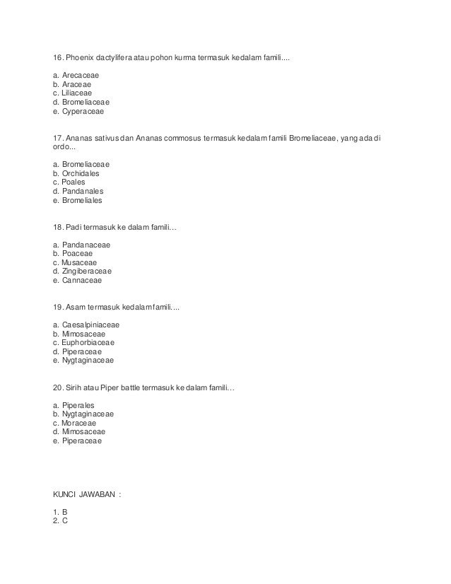 Soal Biologi Sma Kelas X Plantae Dunia Tumbuhan