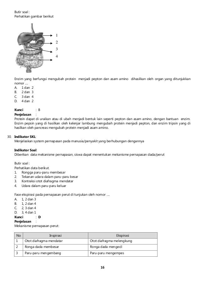 Tripsin Ditunjukkan Oleh Nomor Safekey