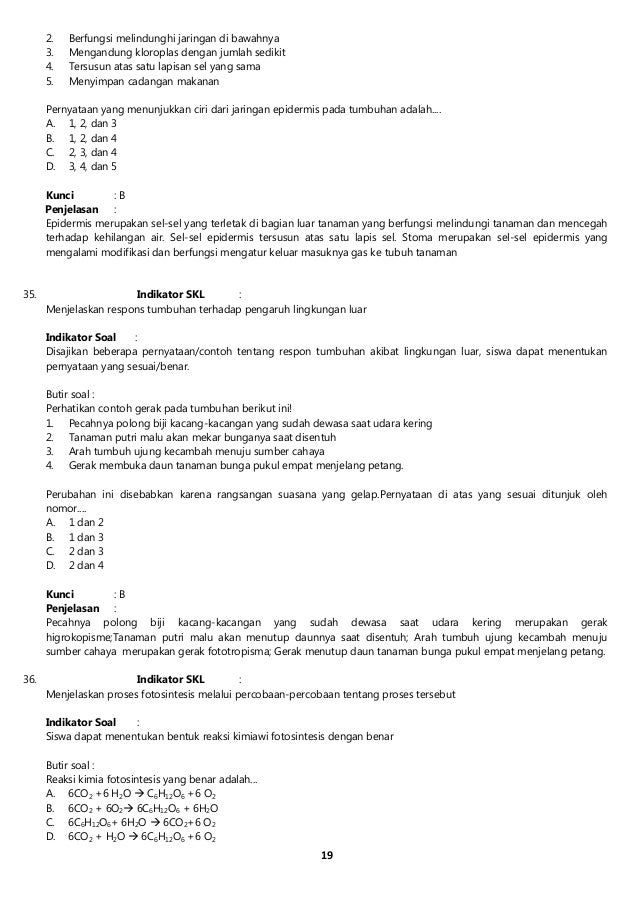 Indikator prediksi forex jaringan saraf