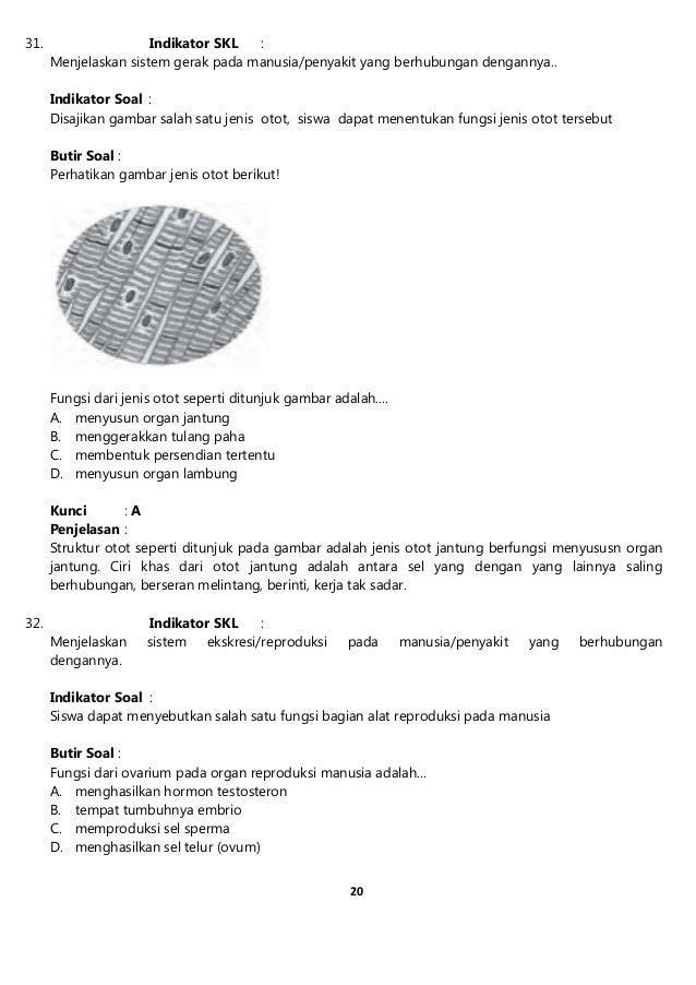  Contoh  Soal Hots Organ Gerak Hewan  Dan Manusia contoh  