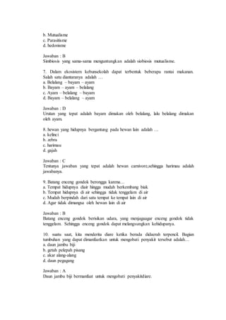 b. Mutualisme 
c. Parasitisme 
d. hedonisme 
Jawaban : B 
Simbiosis yang sama-sama menguntungkan adalah siobiosis mutualisme. 
7. Dalam ekosistem kebunsekolah dapat terbentuk beberapa rantai makanan. 
Salah satu diantaranya adalah … 
a. Belalang – bayam – ayam 
b. Bayam – ayam – belalang 
c. Ayam – belalang – bayam 
d. Bayam – belalang – ayam 
Jawaban : D 
Urutan yang tepat adalah bayam dimakan oleh belalang, lalu belalang dimakan 
oleh ayam. 
8. hewan yang hidupnya bergantung pada hewan lain adalah … 
a. kelinci 
b. zebra 
c. harimau 
d. gajah 
Jawaban : C 
Tentunya jawaban yang tepat adalah hewan carnivore,sehingga harimau adalah 
jawabanya. 
9. Batang enceng gondok berongga karena… 
a. Tempat hidupnya diair hingga mudah berkembang biak 
b. Tempat hidupnya di air sehingga tidak tenggelam di air 
c. Mudah berpindah dari satu tempat ke tempat lain di air 
d. Agar tidak dimangsa oleh hewan lain di air 
Jawaban : B 
Batang enceng gondok berisikan udara, yang menjagaagar enceng gondok tidak 
tenggelam. Sehingga enceng gondok dapat melangsungkan kehidupanya. 
10. suatu saat, kita menderita diare ketika berada didaerah terpencil. Bagian 
tumbuhan yang dapat dimanfaatkan untuk mengobati penyakit tersebut adalah… 
a. daun jambu biji 
b. getah pelepah pisang 
c. akar alang-alang 
d. daun pegagang 
Jawaban : A 
Daun jambu biji bermanfaat untuk mengobati penyakitdiare. 
 