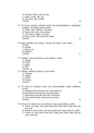 B. Kambing, kerbau, sapi dan kuda 
C. Anjing, kucing, ular, sapi 
D. Sapi, ayam, ular, kambing 
JAWAB : B 
19. Di bawah kelompok tumbuhan berbiji, jika dikembangbiakkan menghasilkan 
tumbuhan baru paling banyak adalah … 
A. Kelapa, salak, rambutan, dan pinang 
B. Pepaya, cabe, jeruk, dan rambutan 
C. Cabe, duren, manggis, dan salak 
D. Pepaya, jeruk, cabe, dan jambu kelutuk 
JAWAB : D 
20. Bagian tumbuhan yan berfungsi sebasgai alat kelamin jantan adalah … 
A. Putik 
B. Kelopak 
C. Benang sari 
D. Mahkota 
JAWAB : C 
21. Tumbuhan yang berkembang secara vegetative adalah … 
A. Mangga 
B. Pisang 
C. Jagung 
D. Padi 
JAWAB : B 
22. Tanaman rambutan mempunyai akar bersifat … 
A. Tunggang 
B. Tunjang 
C. Serabut 
D. Gantung 
JAWAB : B 
23. Di bawah ini kelompok hewan yang berkembangbiak dengan melahirkan, 
kecuali … 
A. Kambing-kerbau-kelelawar-ikan paus-gajah-tikus 
B. Sapi-harimau-kambing-babi rusa-kuda-anjing 
C. Orang hutan-kerqa-aboa-tafir-kuda nil-musang 
D. Ular-komodo-burung unta-ayam-angsa-buaya 
JAWAB : D 
24. Di bawah ini adalah proses pernyerbukan bastar pada tumbuhan adalah … 
A. Serbuk sari bunga suatu pohon jatuh pada kepala putik bunga pohon lain 
tapi sama 
B. Serbuk sari sautu pohon, jatuh pada kepala putik bunga pohon itu sendiri 
C. Serbuk sari suatu pohon jatuh pada kepala putik bunga pohon lain tapi 
sama varietasnya 
 