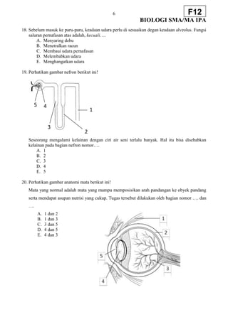 6
BIOLOGI SMA/MA IPA
F12
18. Sebelum masuk ke paru-paru, keadaan udara perlu di sesuaikan degan keadaan alveolus. Fungsi
saluran pernafasan atas adalah, kecuali….
A. Menyaring debu
B. Menetralkan racun
C. Membaui udara pernafasan
D. Melembabkan udara
E. Menghangatkan udara
19. Perhatikan gambar nefron berikut ini!
Seseorang mengalami kelainan dengan ciri air seni terlalu banyak. Hal itu bisa disebabkan
kelainan pada bagian nefron nomor….
A. 1
B. 2
C. 3
D. 4
E. 5
20. Perhatikan gambar anatomi mata berikut ini!
Mata yang normal adalah mata yang mampu memposisikan arah pandangan ke obyek pandang
serta mendapat asupan nutrisi yang cukup. Tugas tersebut dilakukan oleh bagian nomor …. dan
….
A. 1 dan 2
B. 1 dan 3
C. 3 dan 5
D. 4 dan 5
E. 4 dan 3
1
5 4
3
2
 