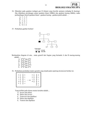 11
BIOLOGI SMA/MA IPA
F15
34. Diketahui pada gandum terdapat gen H (hitam) yang bersifat epistasis terhadap K (kuning).
Jika dilakukan persilangan antara gandum hitam (HhKk) dan gandum kuning (hhKk), maka
perbandingan fenotif gandum hitam : gandum kuning : gandum putih adalah …
A. 1 : 1 : 2
B. 1 : 2 : 1
C. 3 : 4 : 1
D. 4 : 3 : 1
E. 9: 3 : 4
35. Perhatikan gambar berikut!
Berdasarkan diagram di atas, maka genotif dari bagian yang bertanda A dan B masing-masing
adalah …
A. XH
XH
dan Xh
Y
B. Xh
Xh
dan XH
Y
C. XH
Xh
dan XH
Y
D. XH
XH
dan XH
Y
E. XH
Xh
dan Xh
Y
36. Perhatikan perubahan materi genetik yang terjadi pada sepotong kromosom berikut ini.
Yang terlihat pada skema mutasi tersebut adalah....
A. Inversi dan delesi
B. Delesi dan inversi
C. Transversi dan duplikasi
D. Delesi dan duplikasi
E. Transisi dan duplikasi
 