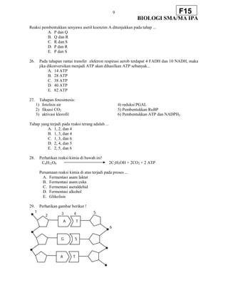 9
BIOLOGI SMA/MA IPA
F15
Reaksi pembentukkan senyawa asetil koenzim A ditunjukkan pada tahap ...
A. P dan Q
B. Q dan R
C. R dan S
D. P dan R
E. P dan S
26. Pada tahapan rantai transfer elektron respirasi aerob terdapat 4 FADH dan 10 NADH, maka
jika dikonversikan menjadi ATP akan dihasilkan ATP sebanyak...
A. 14 ATP
B. 28 ATP
C. 38 ATP
D. 40 ATP
E. 82 ATP
27. Tahapan fotosintesis:
1) fotolisis air 4) reduksi PGAL
2) fiksasi CO2 5) Pembentukkan RuBP
3) aktivasi klorofil 6) Pembentukkan ATP dan NADPH2
Tahap yang terjadi pada reaksi terang adalah ...
A. 1, 2, dan 4
B. 1, 3, dan 4
C. 1, 3, dan 6
D. 2, 4, dan 5
E. 2, 5, dan 6
28. Perhatikan reaksi kimia di bawah ini!
C6H12O6 2C2H5OH + 2CO2 + 2 ATP
Persamaan reaksi kimia di atas terjadi pada proses ...
A. Fermentasi asam laktat
B. Fermentasi asam cuka
C. Fermentasi asetaldehid
D. Fermentasi alkohol
E. Glikolisis
29. Perhatikan gambar berikut !
1
2 3 4
A T
5
6
G S
A T
 