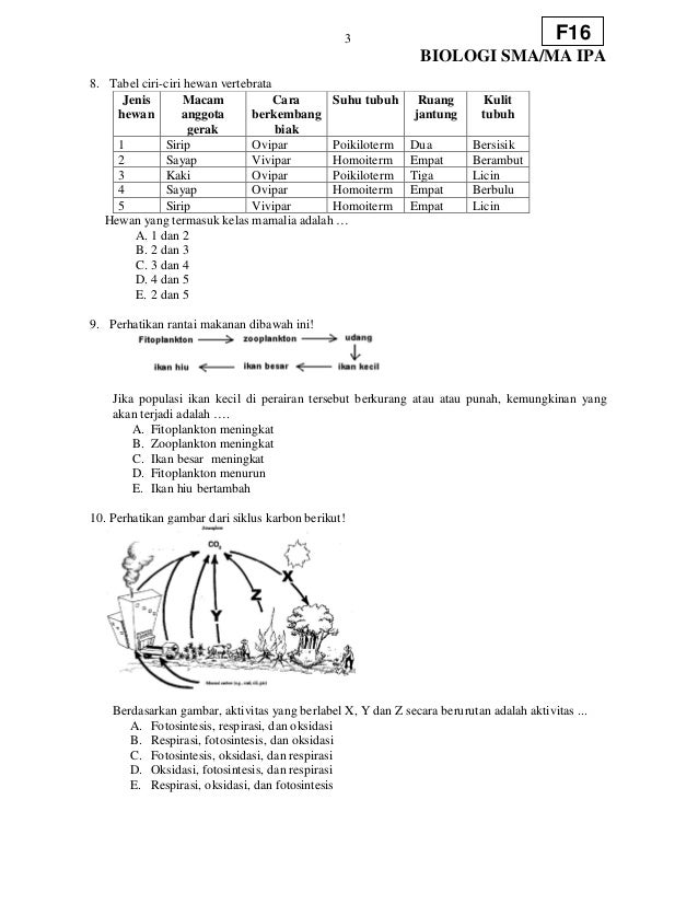 Soal sma biologi f16