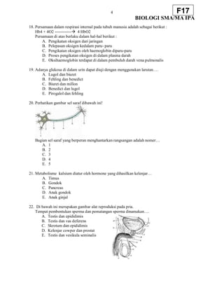 4
BIOLOGI SMA/MA IPA
F17
18. Persamaan dalam respirasi internal pada tubuh manusia adalah sebagai berikut :
Hb4 + 4O2 ------------ 4 HbO2
Persamaan di atas berlaku dalam hal-hal berikut :
A. Pengikatan oksigen dari jaringan
B. Pelepasan oksigen kedalam paru- paru
C. Pengikatan oksigen oleh haemoglobin diparu-paru
D. Proses pengikatan oksigen di dalam plasma darah
E. Oksihaemoglobin terdapat di dalam pembuluh darah vena pulmonalis
19. Adanya glukosa di dalam urin dapat diuji dengan menggunakan larutan….
A. Lugol dan biuret
B. Fehling dan benedict
C. Biuret dan millon
D. Benedict dan lugol
E. Pirogalol dan fehling
20. Perhatikan gambar sel saraf dibawah ini!
Bagian sel saraf yang berperan menghantarkan rangsangan adalah nomer…
A. 1
B. 2
C. 3
D. 4
E. 5
21. Metabolisme kalsium diatur oleh hormone yang dihasilkan kelenjar…
A. Timus
B. Gondok
C. Pancreas
D. Anak gondok
E. Anak ginjal
22. Di bawah ini merupakan gambar alat reproduksi pada pria.
Tempat pembentukan sperma dan pematangan sperma dinamakan….
A. Testis dan epididimis
B. Testis dan vas deferens
C. Skrotum dan epididimis
D. Kelenjar cowper dan prostat
E. Testis dan vesikula seminalis
 