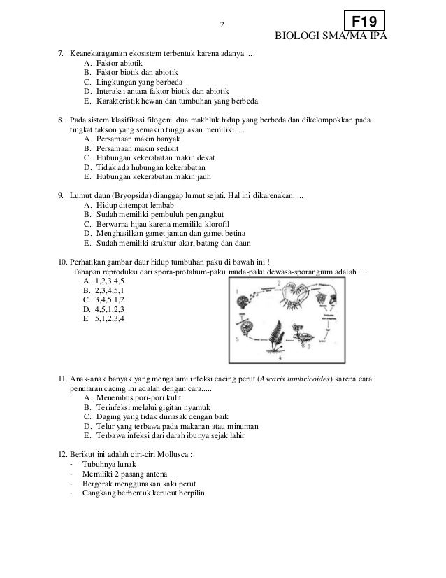 Soal sma biologi_f19