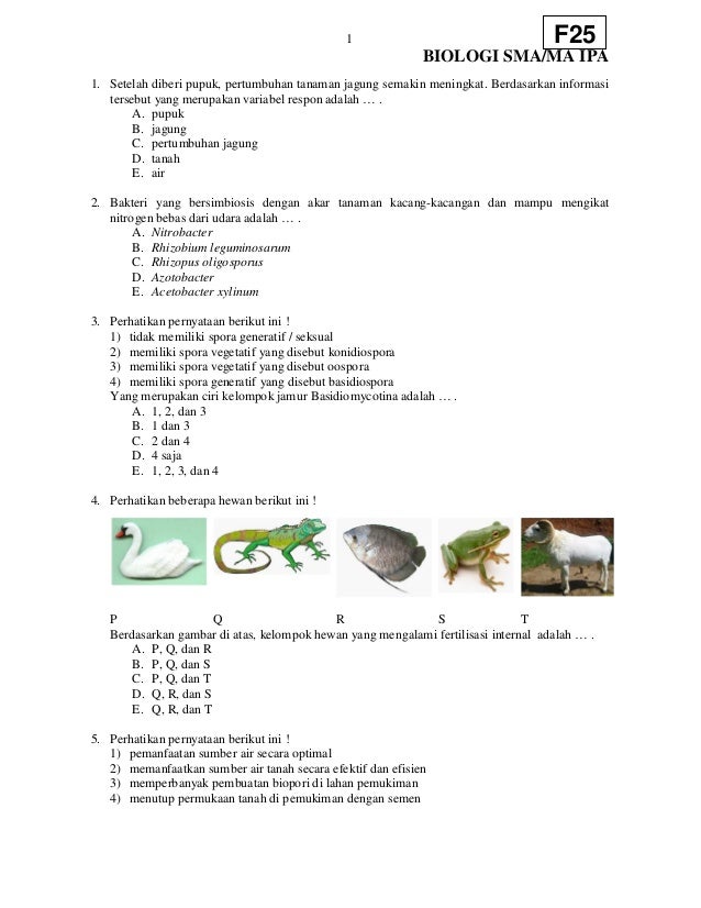 Soal Sma Biologi F25