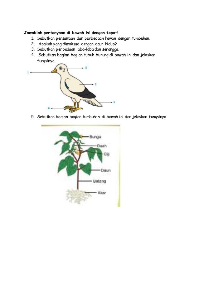 Soal tema 3