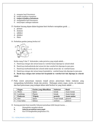 5
A. mengatur hasil fotosintesis
B. tempat terjadinya transpirasi
C. tempat terjadinya fotosintesis
D. mengedarkan hasil fotosintesis
E. menyimpan cadangan makanan
15. Gerakan lencang depan dalam kegiatan baris berbaris merupakan gerak ….
a. pronasi
b. ekstensi
c. adduksi
d. abduksi
e. fleksi
16. Perhatikan gambar jantung berikut ini!
Ketika ruang X dan Y berkontraksi, maka peristiwa yang terjadi adalah... .
A. Darah kaya oksigen dari atrium kanan ke ventrikel kanan dipompa ke seluruh tubuh
B. Darah kaya karbondioksida dari atrium kiri dan ventrikel kiri dipompa ke paru-paru
C. Darah kaya karbondioksida dari seluruh tubuh masuk atrium dan ke ventrikel kanan
D. Darah kaya oksigen dari atrium kanan berpindah ke ventrikel kanan lalu dipompa ke paru-paru
E. Darah kaya oksigen dari atrium kiri berpindah ke ventrikel kiri lalu dipompa ke seluruh
tubuh
17. Pada sistem pencernaan manusia terjadi proses pencernaan bahan makanan yang
mengandung karbohidrat, lemak dan protein. Hubungan antara organ, enzim, zat makanan
dan hasil pencernaan yang terdapat dalam tabel berikut ini yang benar adalah ....
Organ Enzim yang dihasilkan Substrat Hasil
A Mulut lipase lemak Asam lemak
B Lambung Pepsin lemak Asam lemak
C Pankreas Tripsin protein Asam amino
D Hati lipase Asam lemak gliserol
E Usus halus laktase amilum glukosa
18. Seorang perokok berat memiliki frekuensi pernafasan lebih banyak karena….
a. Hemoglobin mengikat nikotin
b. Saluran pernafasan menyempit
c. Gas CO menghambat pengeluaran CO2
TO – KEMURNIAN GREEN VILE
 