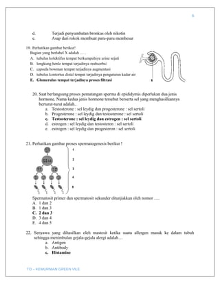 6
d. Terjadi penyumbatan bronkus oleh nikotin
e. Asap dari rokok membuat paru-paru membesar
19. Perhatikan gambar berikut!
20. Saat berlangsung proses pematangan sperma di epididymis diperlukan dua jenis
hormone. Nama kedua jenis hormone tersebut berserta sel yang menghasilkannya
berturut-turut adalah..
a. Testosterone : sel leydig dan progesterone : sel sertoli
b. Progesterone : sel leydig dan testosterone : sel sertoli
c. Testosterone : sel leydig dan estrogen : sel sertoli
d. estrogen : sel leydig dan testosteron : sel sertoli
e. estrogen : sel leydig dan progesteron : sel sertoli
21. Perhatikan gambar proses spermatogenesis berikut !
Spermatosit primer dan spermatosit sekunder ditunjukkan oleh nomor ….
A. 1 dan 2
B. 1 dan 3
C. 2 dan 3
D. 3 dan 4
E. 4 dan 5
22. Senyawa yang dihasilkan oleh mastosit ketika suatu allergen masuk ke dalam tubuh
sehingga menimbulan gejala-gejala alergi adalah…
a. Antigen
b. Antibody
c. Histamine
TO – KEMURNIAN GREEN VILE
Bagian yang berlabel X adalah … .
A. tubulus kolektifus tempat berkumpulnya urine sejati
B. lengkung henle tempat terjadinya reabsorbsi
C. capsula bowman tempat terjadinya augmentasi
D. tubulus kontortus distal tempat terjadinya pengaturan kadar air
E. Glomerulus tempat terjadinya proses filtrasi
 