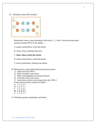 9
29. Perhatikan skema DNA berikut!
Berdasarkan skema, yang ditunjukkan oleh nomor 1, 2, 3 dan 5 secara berurutan pada
sepotong molekul DNA di atas adalah . . . .
A. guanin, deoksiribosa, fosfat dan adenin
B. sitosin, ribosa, hidrogen dan timin
C. timin, ribosa, fosfat dan sitosin
D. adenin, deoksiribosa, fosfat dan guanin
E. urasil, deoksiribosa, hidrogen dan adenin
30. Berikut proses yang terjadi selama penyusunan protein :
1) AND mencetak ARN-d
2) ARN-t mengikat asam amino
3) ARN-d meninggalkan inti menuju ribosom
4) Terbentuk rantai asam amino
5) Asam amino terurut sesuai dengan kode dari ARN-d
Urutan sintesis protein yang benar adalah ….
A. 1, 2, 3, 4, 5
B. 1, 2, 4, 5, 3
C. 1, 3, 2, 4, 5
D. 1, 3, 2, 5, 4
E. 1, 3, 4, 2, 5
31. Perhatikan gambar pembelahan sel berikut ....
TO – KEMURNIAN GREEN VILE
 