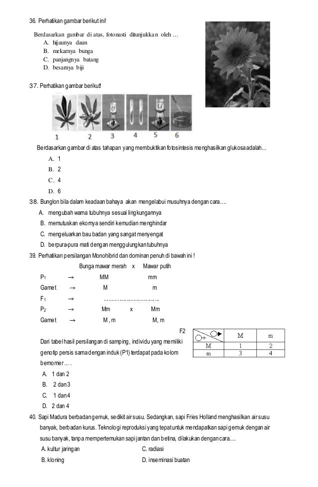 Contoh soal Try Out IPA SMP/MTs. dan Kunci Jawaban Contoh soal Try Out IPA SMP/MTs. dan Kunci Jawaban