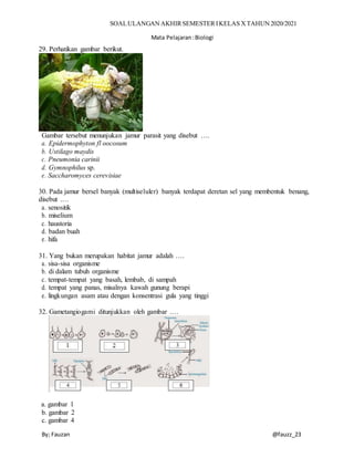 SOALULANGAN AKHIRSEMESTERIKELAS XTAHUN 2020/2021
Mata Pelajaran:Biologi
By; Fauzan @fauzz_23
29. Perhatikan gambar berikut.
Gambar tersebut menunjukan jamur parasit yang disebut ….
a. Epidermophyton fl oocosum
b. Ustilago maydis
c. Pneumonia carinii
d. Gymnophilus sp.
e. Saccharomyces cerevisiae
30. Pada jamur bersel banyak (multiseluler) banyak terdapat deretan sel yang membentuk benang,
disebut .…
a. senositik
b. miselium
c. haustoria
d. badan buah
e. hifa
31. Yang bukan merupakan habitat jamur adalah ….
a. sisa-sisa organisme
b. di dalam tubuh organisme
c. tempat-tempat yang basah, lembab, di sampah
d. tempat yang panas, misalnya kawah gunung berapi
e. lingkungan asam atau dengan konsentrasi gula yang tinggi
32. Gametangiogami ditunjukkan oleh gambar .…
a. gambar 1
b. gambar 2
c. gambar 4
 