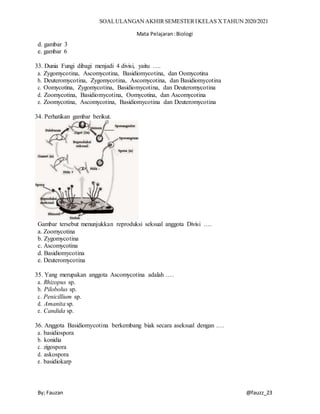 SOALULANGAN AKHIRSEMESTERIKELAS XTAHUN 2020/2021
Mata Pelajaran:Biologi
By; Fauzan @fauzz_23
d. gambar 3
e. gambar 6
33. Dunia Fungi dibagi menjadi 4 divisi, yaitu ….
a. Zygomycotina, Ascomycotina, Basidiomycotina, dan Oomycotina
b. Deuteromycotina, Zygomycotina, Ascomycotina, dan Basidiomycotina
c. Oomycotina, Zygomycotina, Basidiomycotina, dan Deuteromycotina
d. Zoomycotina, Basidiomycotina, Oomycotina, dan Ascomycotina
e. Zoomycotina, Ascomycotina, Basidiomycotina dan Deuteromycotina
34. Perhatikan gambar berikut.
Gambar tersebut menunjukkan reproduksi seksual anggota Divisi ….
a. Zoomycotina
b. Zygomycotina
c. Ascomycotina
d. Basidiomycotina
e. Deuteromycotina
35. Yang merupakan anggota Ascomycotina adalah .…
a. Rhizopus sp.
b. Pilobolus sp.
c. Penicillium sp.
d. Amanita sp.
e. Candida sp.
36. Anggota Basidiomycotina berkembang biak secara aseksual dengan .…
a. basidiospora
b. konidia
c. zigospora
d. askospora
e. basidiokarp
 