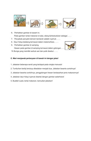 6. Perhatikan gambar di bawah ini.
Pada gambar rantai makanan di atas, elang berkedudukan sebagai . . . .
7. Penyebab penyakit demam berdarah adalah nyamuk . . . .
8. Daur hidup belalang termasuk dalam metamorfosis . . . .
9. Perhatikan gambar di samping.
Hewan pada gambar di samping termasuk dalam golongan . . . .
10. Bunga yang memiliki serbuk sari dan putik disebut . . . .

C. Mari menjawab pertanyaan di bawah ini dengan jelas!
1. Jelaskan beberapa sendi yang terdapat pada rangka manusia!
2. Tumbuhan berbiji tertutup dibedakan menjadi dua. Jelaskan beserta contohnya!
3. Jelaskan beserta contohnya, penggolongan hewan berdasarkan jenis makanannya!
4. Jelaskan daur hidup nyamuk disertai dengan gambar sederhana!
5. Buatlah suatu rantai makanan, kemudian jelaskan!

 