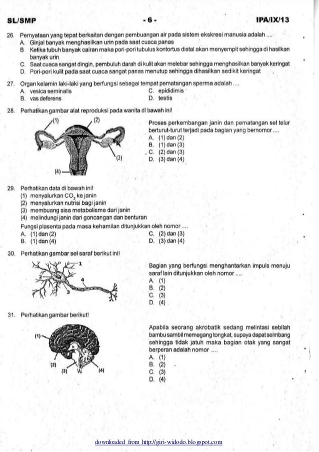 Soal uas ipa kelas 9 semester 1 2013 sleman (1) dikonversi