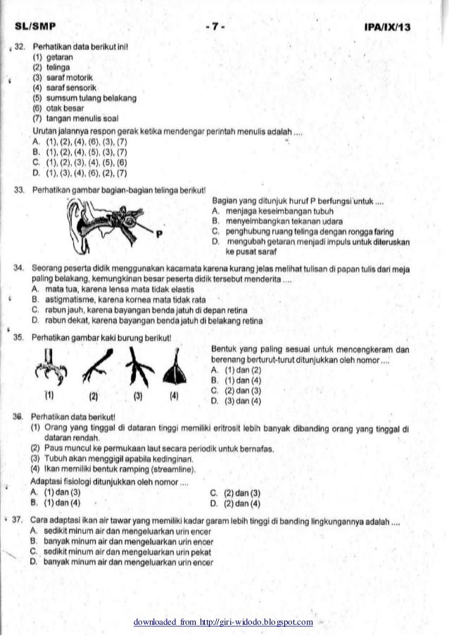 Soal essay ipa kelas 9 semester 1 07 picture