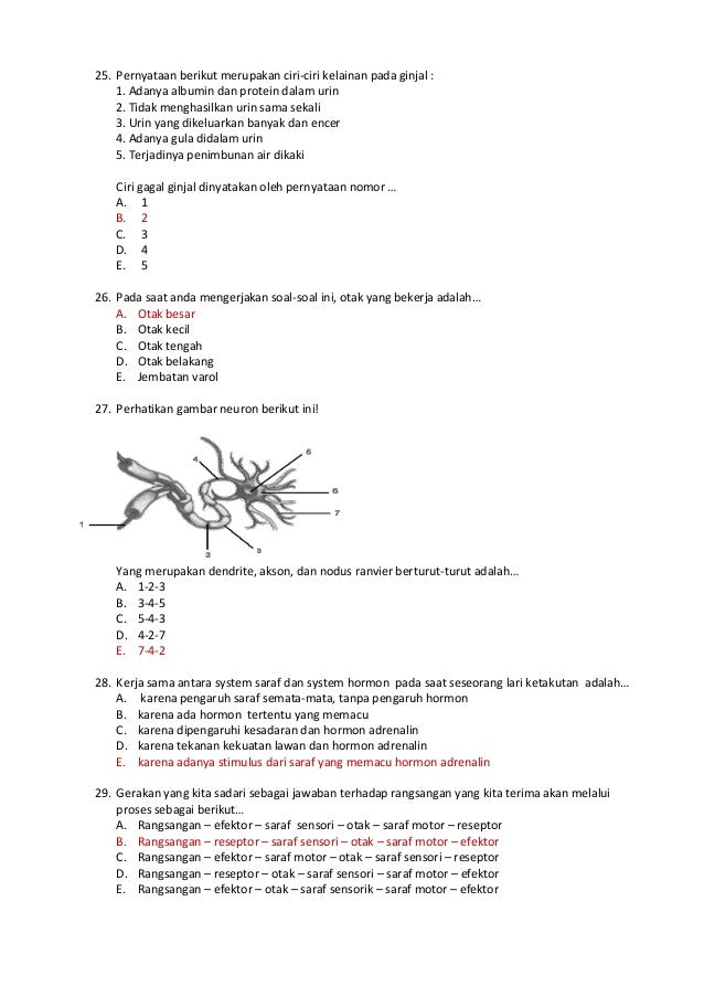 Soal ukk smt 2 1011