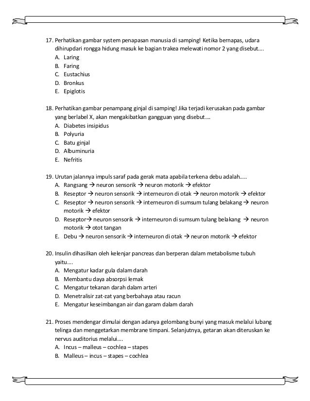 Soal Un 2008 Biologi