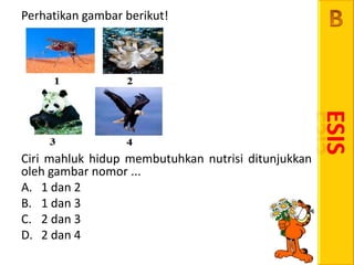 Soal UN 2012 NO.23 BIOLOGI CIRI - CIRI MAKHLUK HIDUP