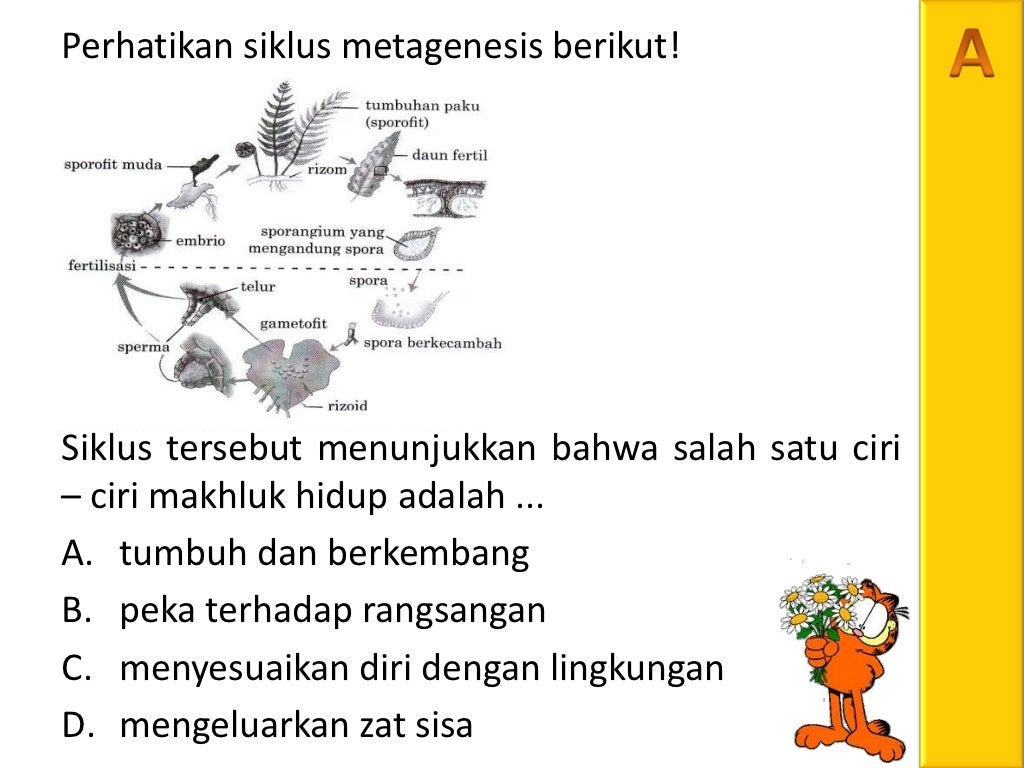 Soal UN 2012 NO.23 BIOLOGI CIRI CIRI MAKHLUK HIDUP
