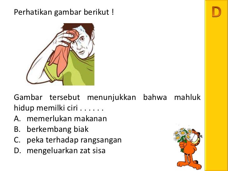 Top Berikut Ini Yang Bukan Ciri Ciri Makhluk Hidup Adalah