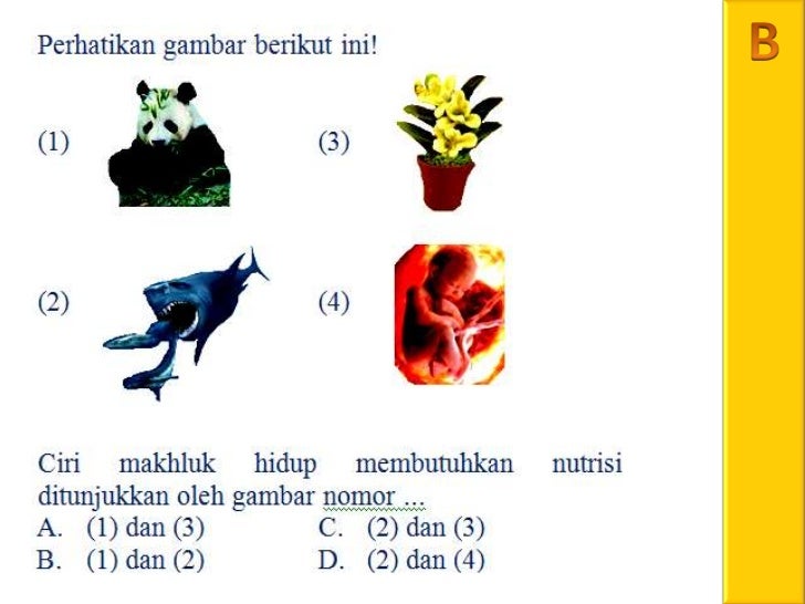 Soal UN 2012 NO.23 BIOLOGI CIRI - CIRI MAKHLUK HIDUP