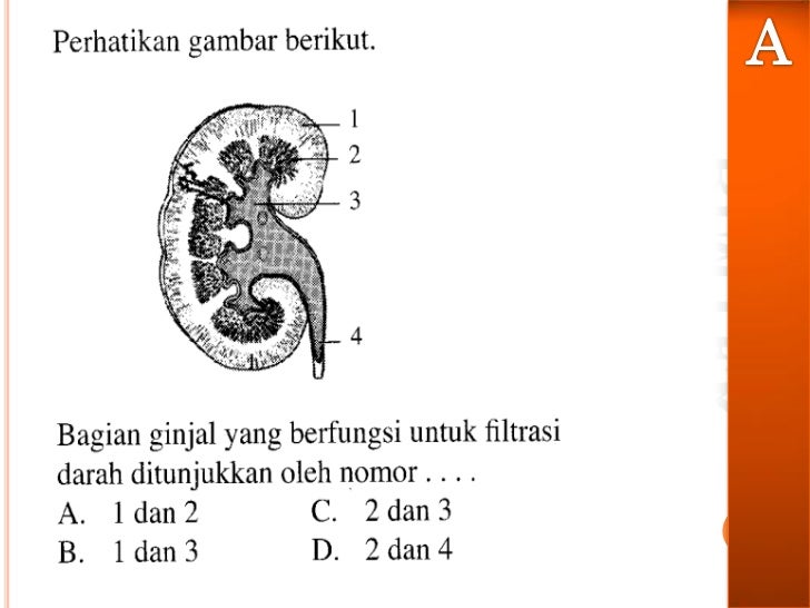 Pembahasan Soal Fungsi Smp.Soal Dan Pembahasan Persamaan Pembahasan Soal Fungsi Smp.Soal Dan Pembahasan Persamaan
