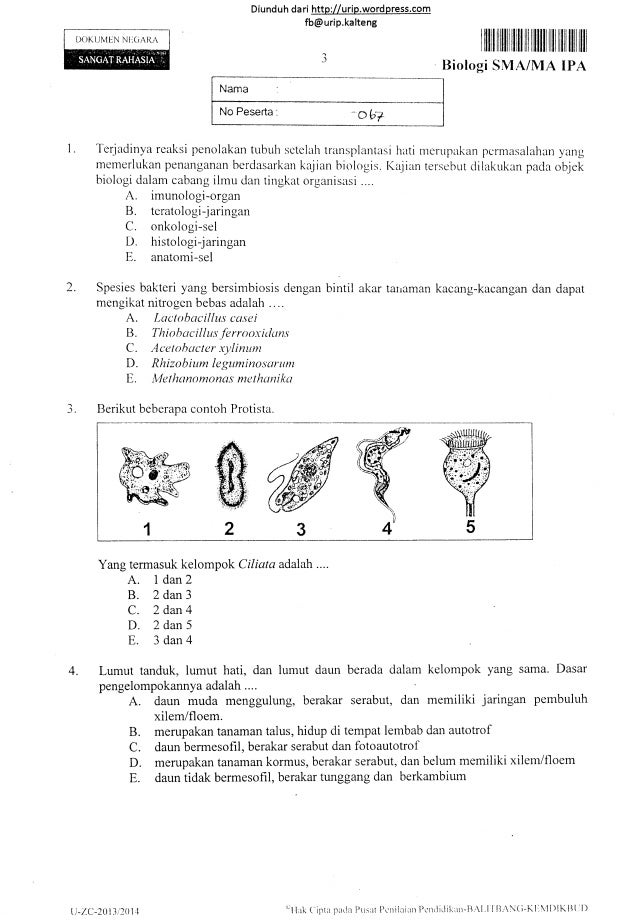 Soal Un Biologi Materi Kelas X