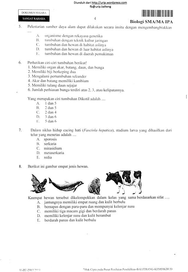 Soal Biologi Jaringan Hewan