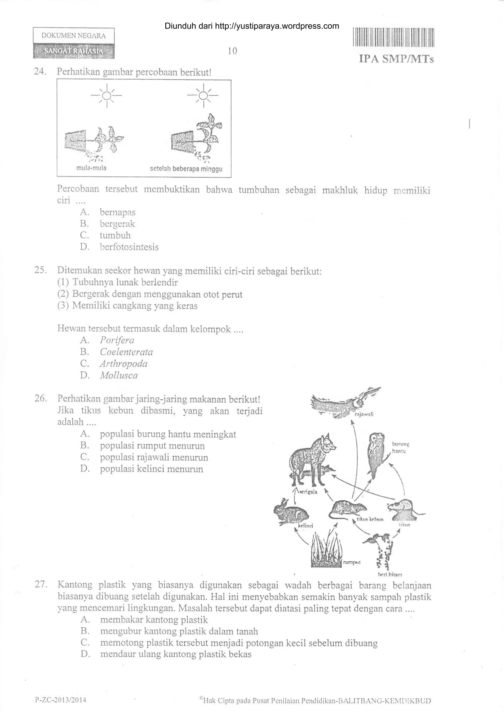 --,";
*&
@#
beberapa minggu
-+-
DOKUMEN NEGARA
l0
I illfl llil flililil llilill lil fl lil lil |lil
IPA SMP/MTs
24. Perhatikan gambar percobaan berikutl
Percobaan tersebut membuktikan bahrva tumbuhan sebagai makhluk hidup memiliki
ciri ....
A. berrraprs
B. bergerak
C. tum buh
D. berfotosintesis
25. Ditemukan seekor hewan yang memiliki ciri-ciri sebagai berikut:
(1) Tubuhlya lunak berlendir
(2) Bergerak dengan menggunakan otot perut
(3) N,{emiliki cangkang yang keras
Hewan tersebut termasuk dalam kelompok ....
A. Porifera
B. Coelenterata
C. Arthropoda
D. Mollusco.
26. Perhatikan gambar jaring-jaring makanan berikut!
Jika tikus kebun dibasmi, yang akan terjadi
adalah....
A. populasi burung hantu meningkat
B. populasi rumput menum.n
C. populasi rajawali menurun
D. populasi kelinci menurun
21. Kantong plastik yang biasanya digunakan sebagai wadah berbagai Uuro,lg T.fun;oo,
biasanya dibuang setelah digunakan. Hal ini menyebabkan semakin banyak sampah plastik
yang mencemari lingkungan. Masalah tersebut dapat diatasi paling tepat dengan cara ....
A. membakar kantong plastik
B. mengubur kantong plastik dalam tanah
C. memotong plastik tersebut menjadi potongan kecil sebelum dibuang
D. mendaur ulang kantong plastik bekas
P -ZC-2013 t201 1 'cHak Cipta pada Pusat Pcnilaian Pcndidikan-ll,{LITBANC-KIliv1LllKBUI)
Diunduh dari http://yustiparaya.wordpress.com
 
