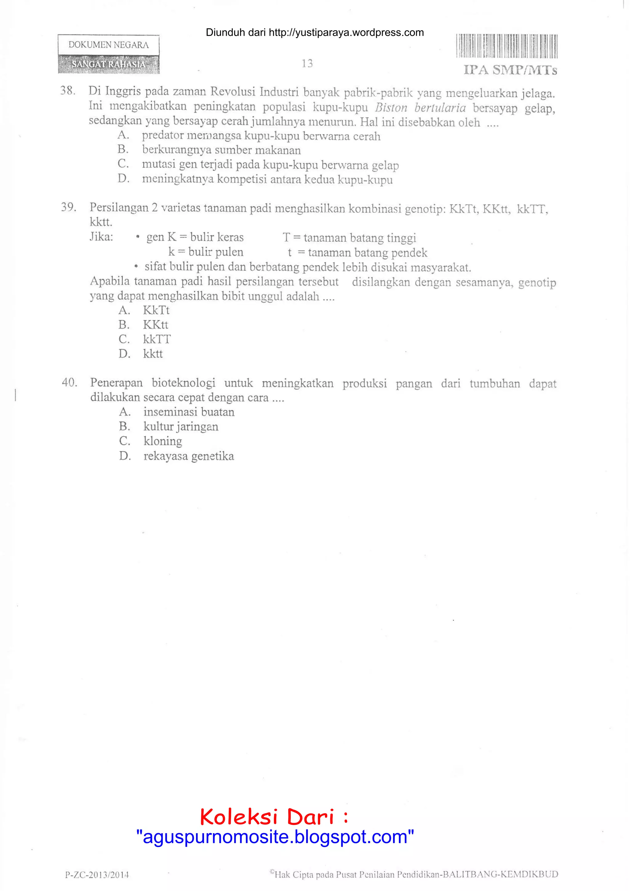 DOKUMEN NEGAR^
13
rilfiillililillililililtililtiltililtl
IPA SMPIMTS
38. Di Inggris pada zaman Revolusi Industri banyak pabrik-pabrik yang mengeluarkan jelaga.
Ini rnengakibatkan peningkatan populasi kupu-kupu Biston bertularia bersayap gelap,
sedangkan yang bersayap cerahjumlahnya luenurun. Hal ini disebabkan oleh ....
A. predator iaerlangsa kupu-kupu berwama cerah
B. berkurangnya sumber makanan
C. mutasi gen terjadi pada kupu-kupu benvama gelap
D. meningkatnya kompetisi antara kedua kupu-kupu
39. Persilangan 2 vadetas tanaman padi menghasilkan kombinasi genotip: KkTt, KKtt, kkTT.
kktt.
Jika: . gen K = bulir keras T = tanaman batang tinggi
k = bulir pulen t = tanaman batang pendek
. sifat bulir pulen dan berbatang pendek lebih disukai rrasyarakat.
Apabila tanaman padi hasil persilangan tersebut disilangkan dengan sesamanya, genotip
yang dapat menghasilkan bibit unggul adalah....
A. Kl<Tt
B. KKtt
C, KKTT
D. kktt
40. Penerapan bioteknologi untuk meningkatkan produksi pangan dari tumbuhan dapat
dilakukan secara cepat dengan cara ....
A. inseminasi buatan
B. kultur jaringan
C. kloning
D. rekayasa genetika
P -7.C-)t1 31201 4 eHak Cipta pada Pusat Pcrilaian I'cndidikan-BAl,ITBANC-KEIVIDIKBUD
Diunduh dari http://yustiparaya.wordpress.com
t'llah Ciptr pll(la Plrsal l,cnilaian
Koleksi Dari :
"aguspurnomosite.blogspot.com"
 